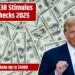 $1338 Stimulus Checks 2025