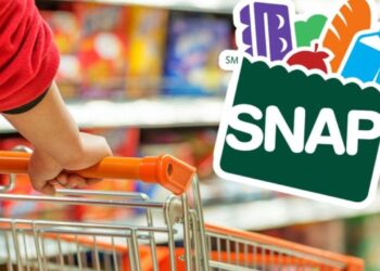 Receive this $292 Food Stamp for each family member