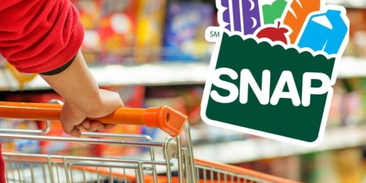 Receive this $292 Food Stamp for each family member